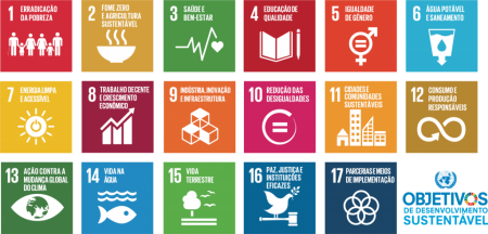 DESENVOLVIMENTO SUSTENTÁVEL