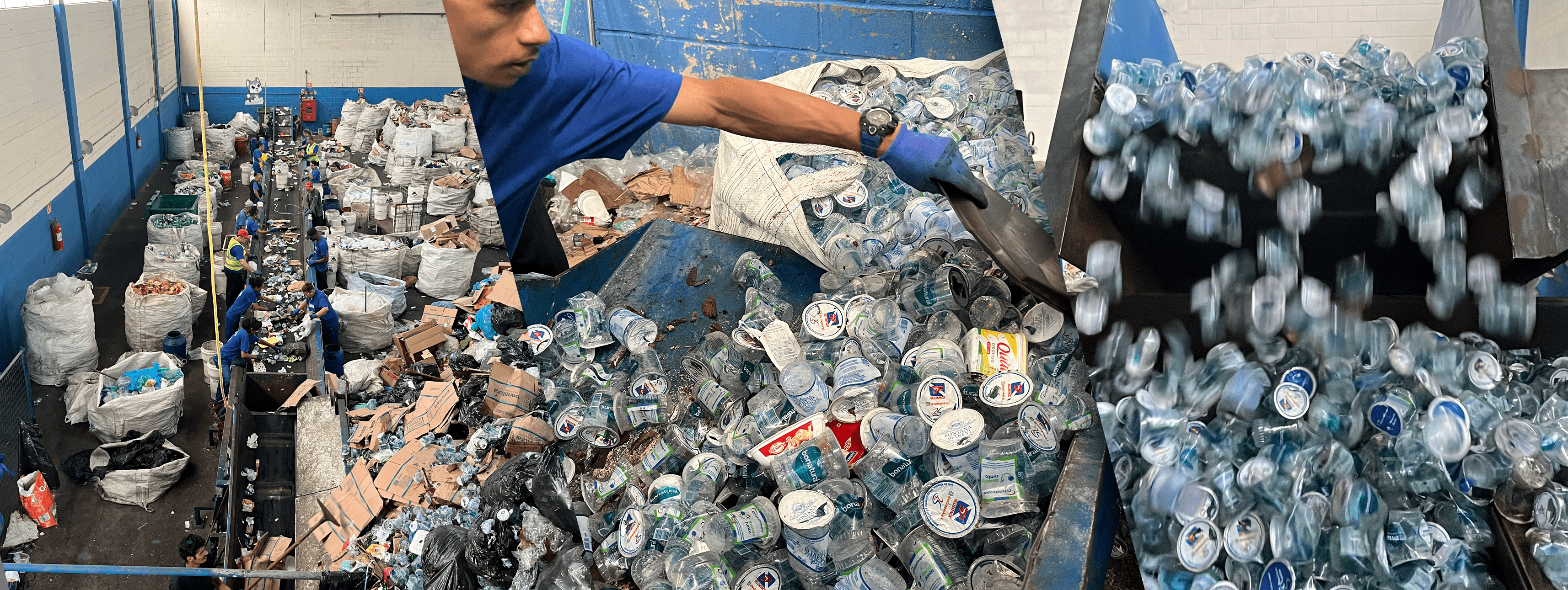 Cooperativa Crescer com os Resíduos da Maratona internacional de SP