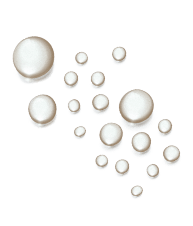 bolha1