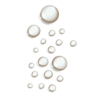 bolha3